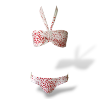 Biquini Adriana Degreas Estampado - G 