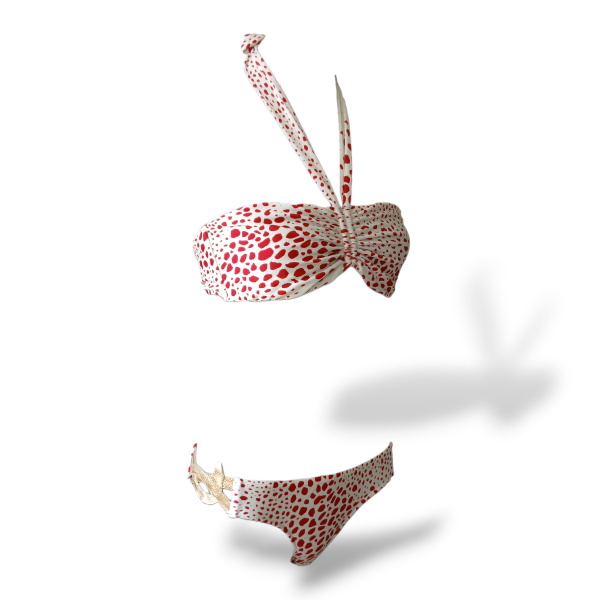 Biquini Adriana Degreas Estampado - G 