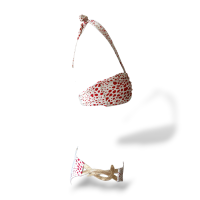 Biquini Adriana Degreas Estampado - G 