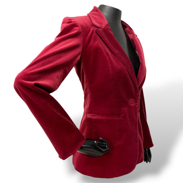 Blazer Cris Barros Veludo Vinho-38