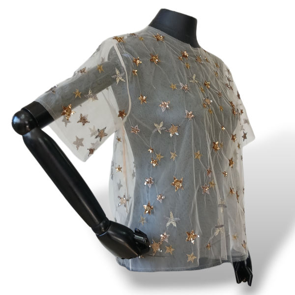 Blusa Valentino Em Tule Com Bordados De Estrelas Dourada-40