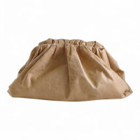 Bolsa Bottega Veneta The Pouch Paper 