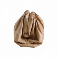 Bolsa Bottega Veneta The Pouch Paper 