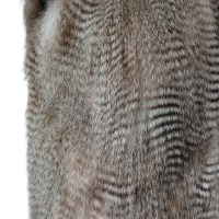 Colete Joseph em Pele - 38