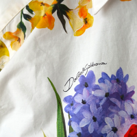 Conjunto Dolce Gabbana Estampado