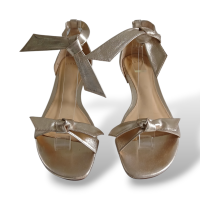 Rasteira Alexandre Birman Metalizada-38