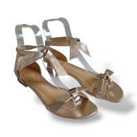 Rasteira Alexandre Birman Metalizada-38