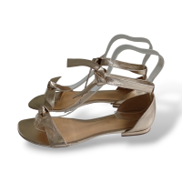 Rasteira Alexandre Birman Metalizada-38