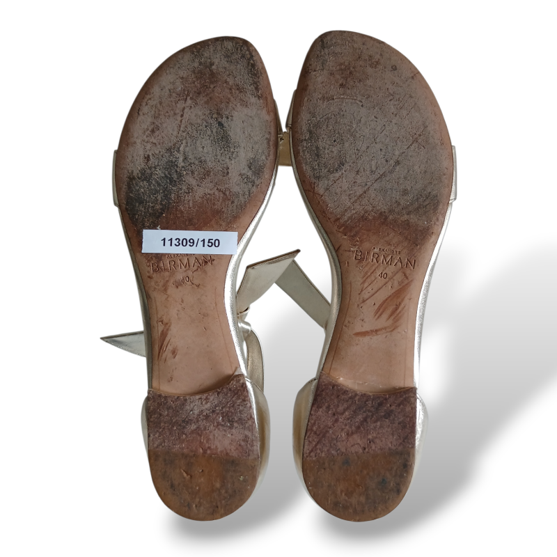 Rasteira Alexandre Birman Metalizada-38