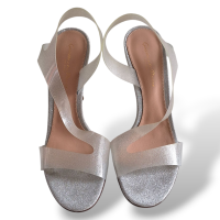 Sandália Gianvito Rossi Prateada em Silicone-35