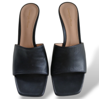 Mule Gianvito Rossi Preta-39