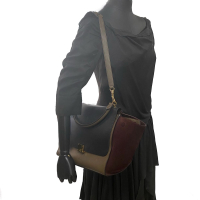 Bolsa Celine Trapeze Tricolor