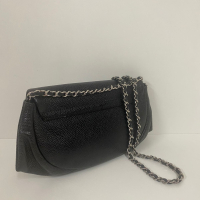 Bolsa Chanel Half Moon TImeless Wallet on Chain