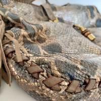 Bolsa Gucci Jackie Shoulder Python
