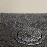 Clutch Bottega Veneta Ayers Python