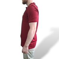 Polo Burberry Vinho-G