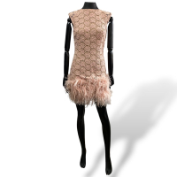 Vestido Lu Monteiro Plumas Rosa-38