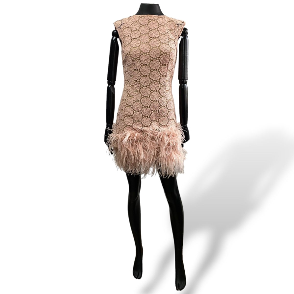 Vestido Lu Monteiro Plumas Rosa-38 Vestido Lu Monteiro Plumas Rosa-38