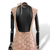 Vestido Lu Monteiro Plumas Rosa-38