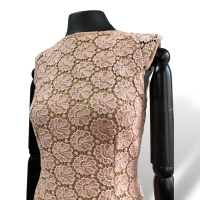 Vestido Lu Monteiro Plumas Rosa-38